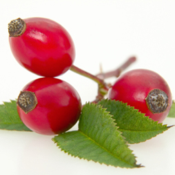 Rosehip Oil